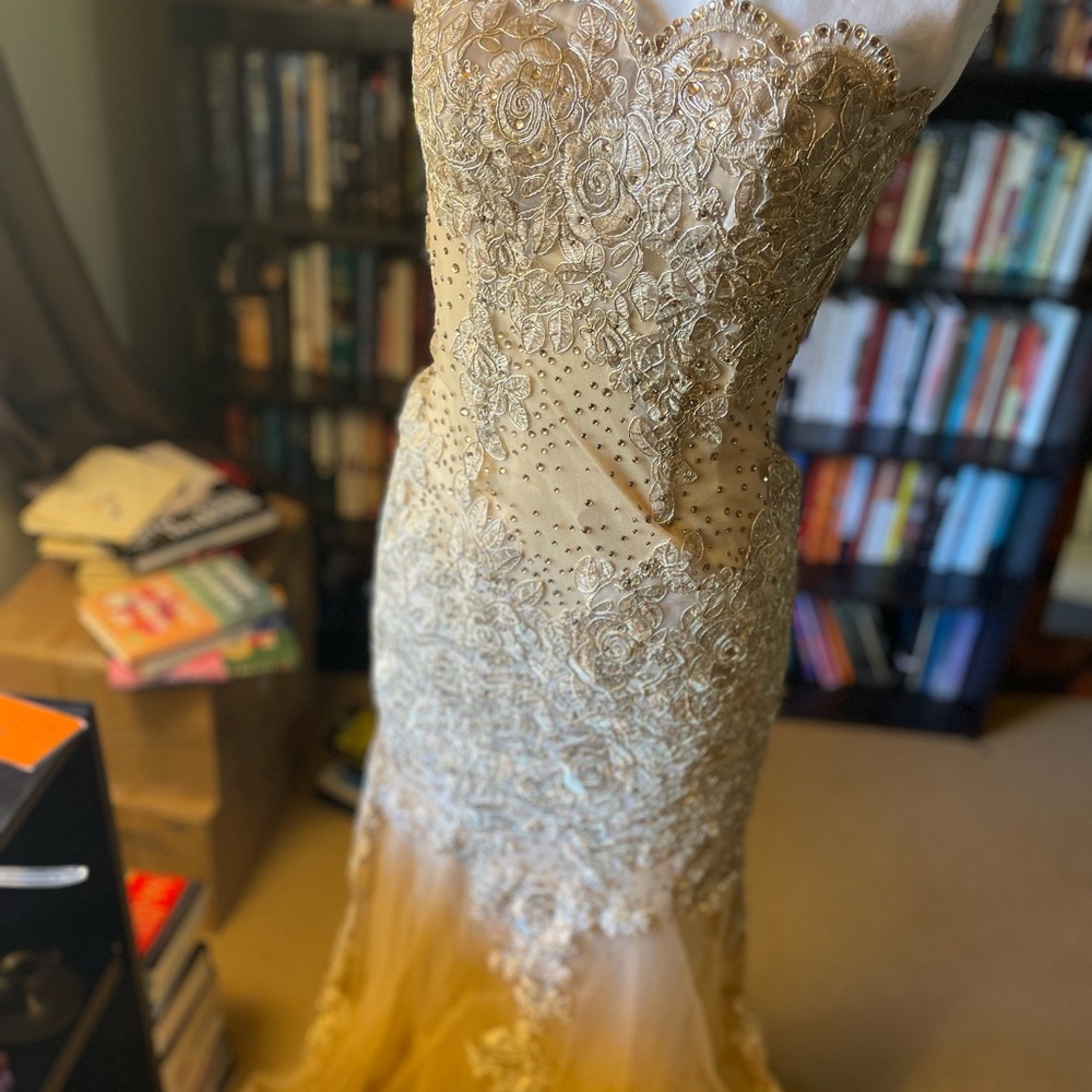 NWT nude/gold strapless lace gown